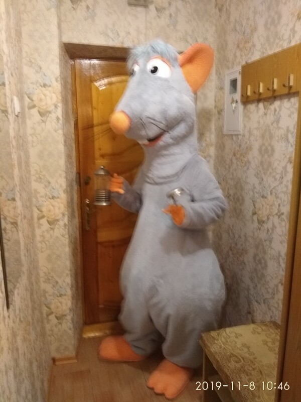 Костюм Крысёнок Рататуй